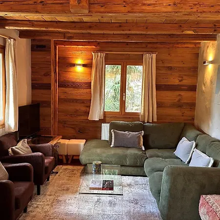 Chalet Luxueux 12 Pers, Sauna, Cheminée Et Parking à - Fr-1-344-1226